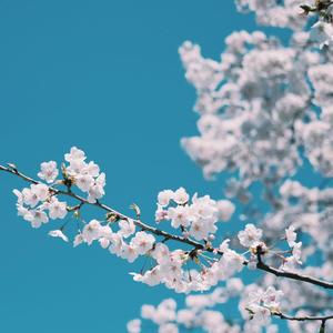 真人69式互添视频
